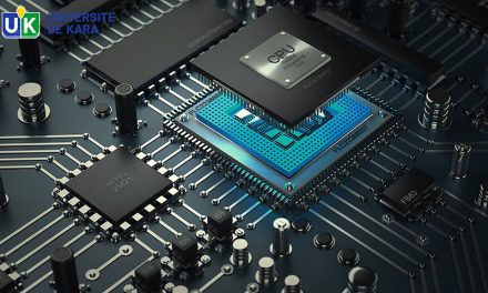 APPEL À CANDIDATURE À LA LICENCE PROFESSIONNELLE EN INFORMATIQUE À L’UNIVERSITÉ DE KARA