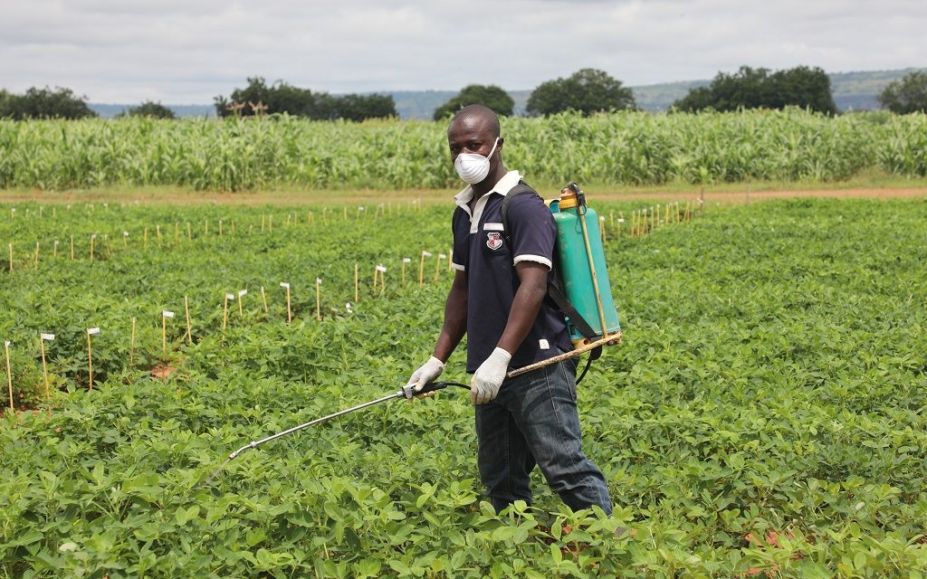 Concours d’entrée à l’école supérieure de l’agronomie (ESA) de l’Université de Lomé